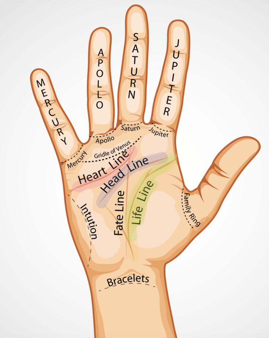 Palmistry Reading For Girls