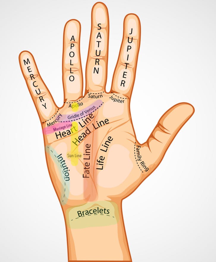 How To Get A Free Palm Reading Online 6 Sites We Trust