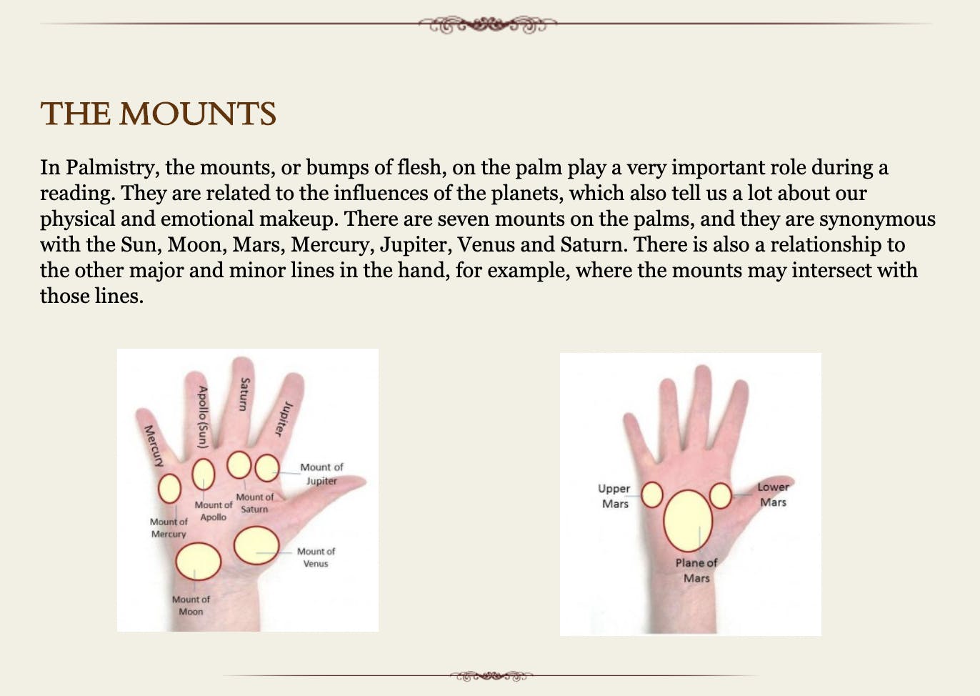 free accurate palm reading online
