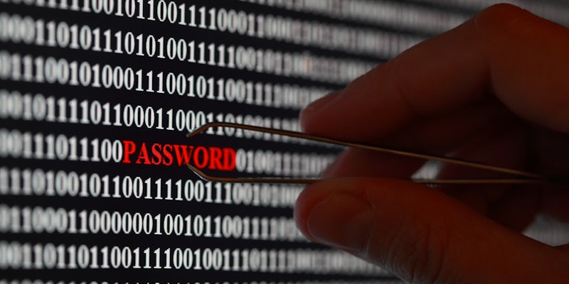 netflix password hack