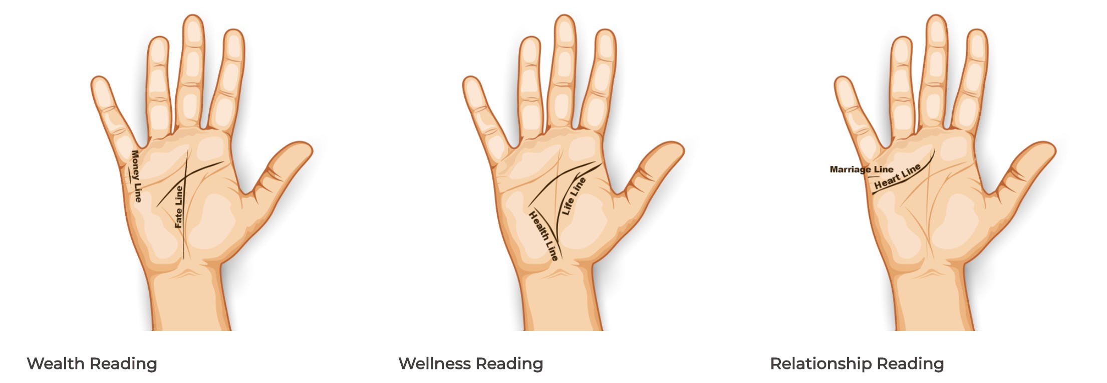 palm reading online