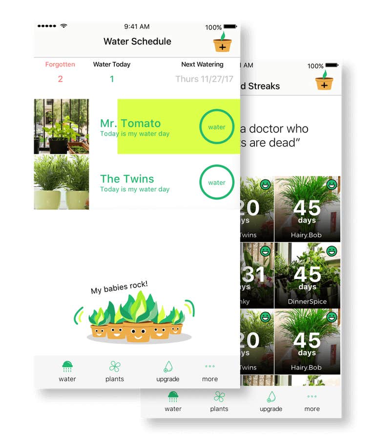 Plant Watering Schedule App Plant Watering Schedule App