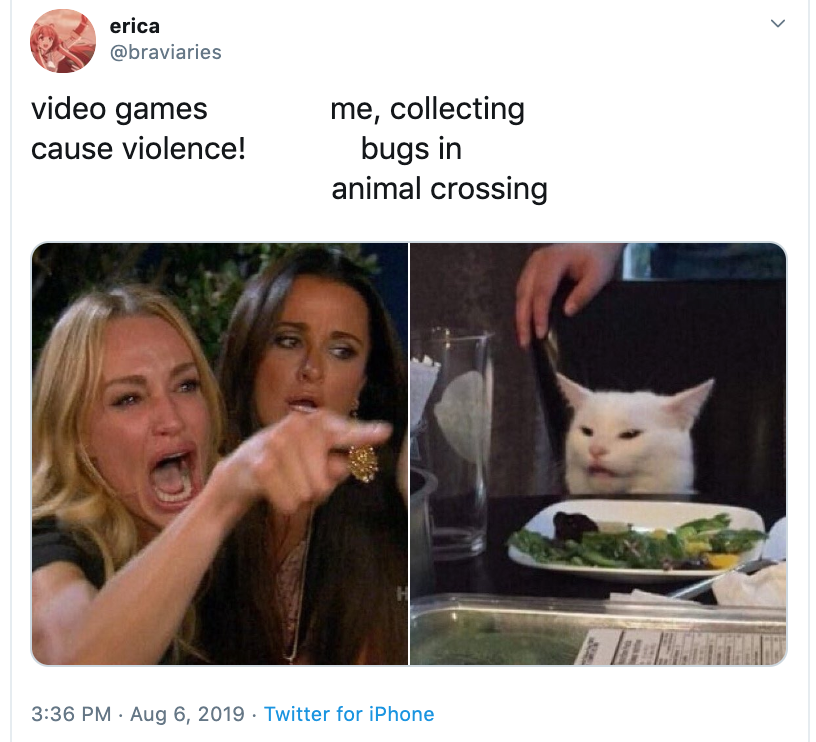 What is the Cat Meme? The 'Woman Yells At Cat' Meme, Explained