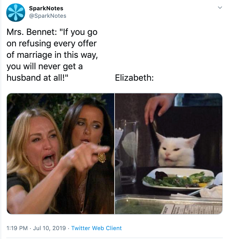 woman yelling at cat