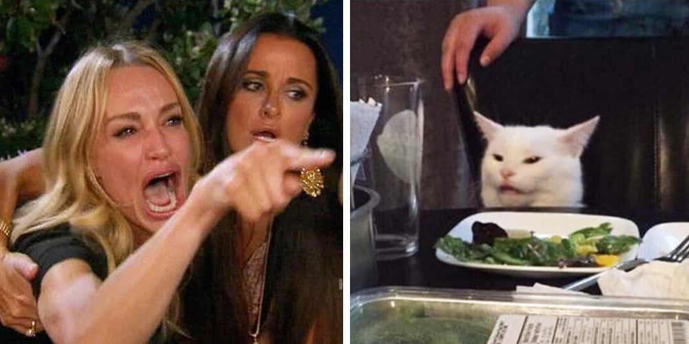 woman-yelling-at-a-cat-is-derived-from-two-popular-memes