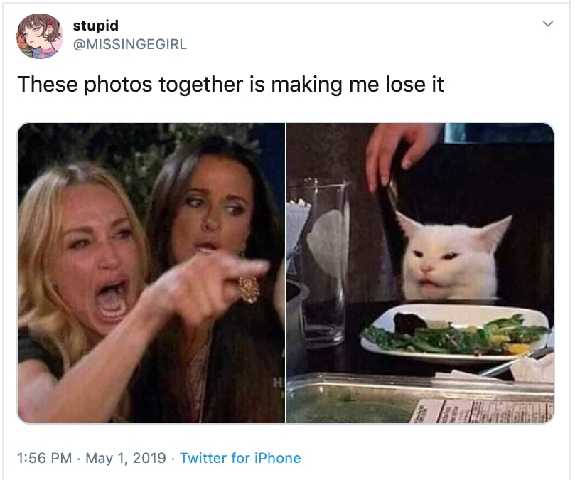 Angry women yelling at confused cat at dinner table meme for