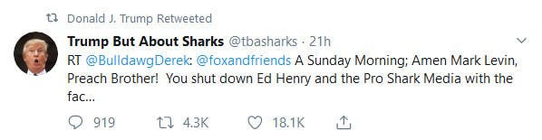 Donald Trump Sharks Pro Shark Media Retweet