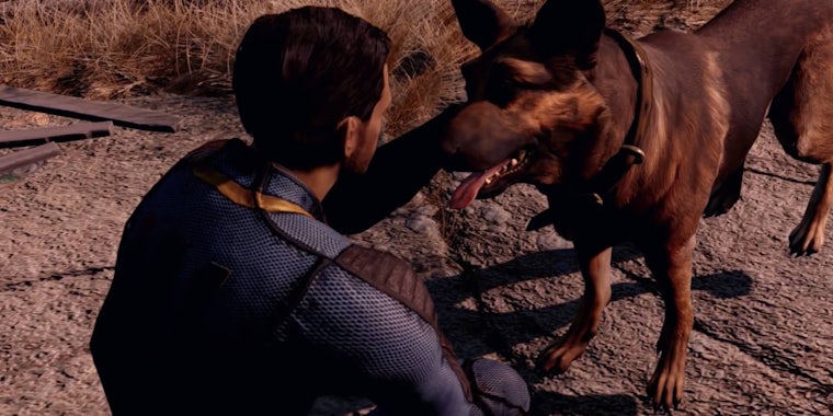 Fallout 4 companions - Dogmeat