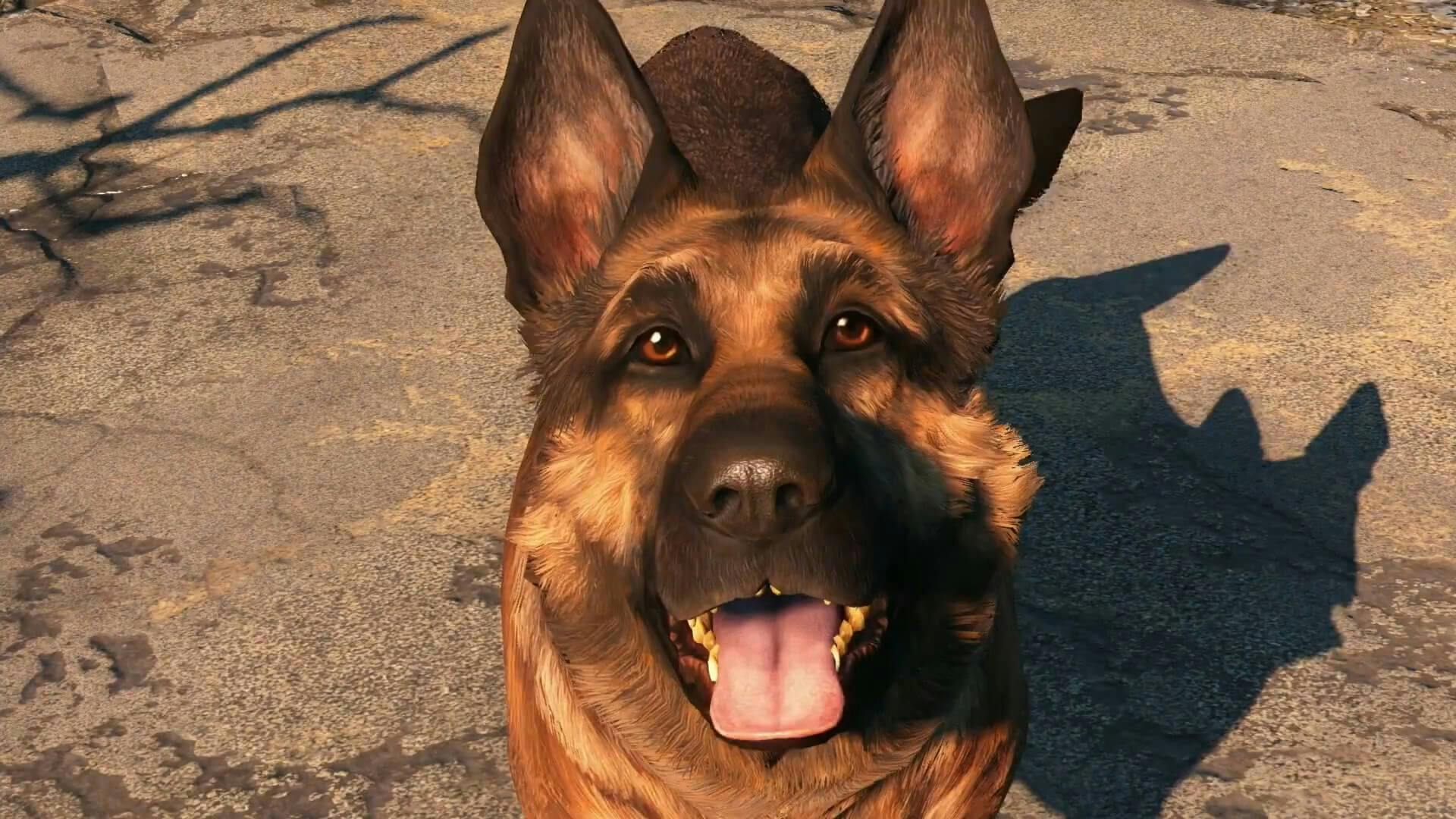 Fallout 4 - Dogmeat