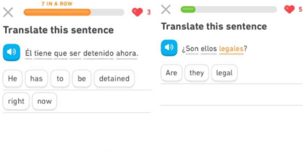 duolingo-deletes-anti-immigrant-learning-lesson-phrases