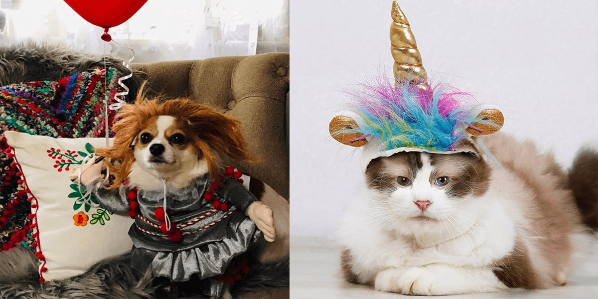 15 Halloween Pet Costumes that are all Treats, No Tricks