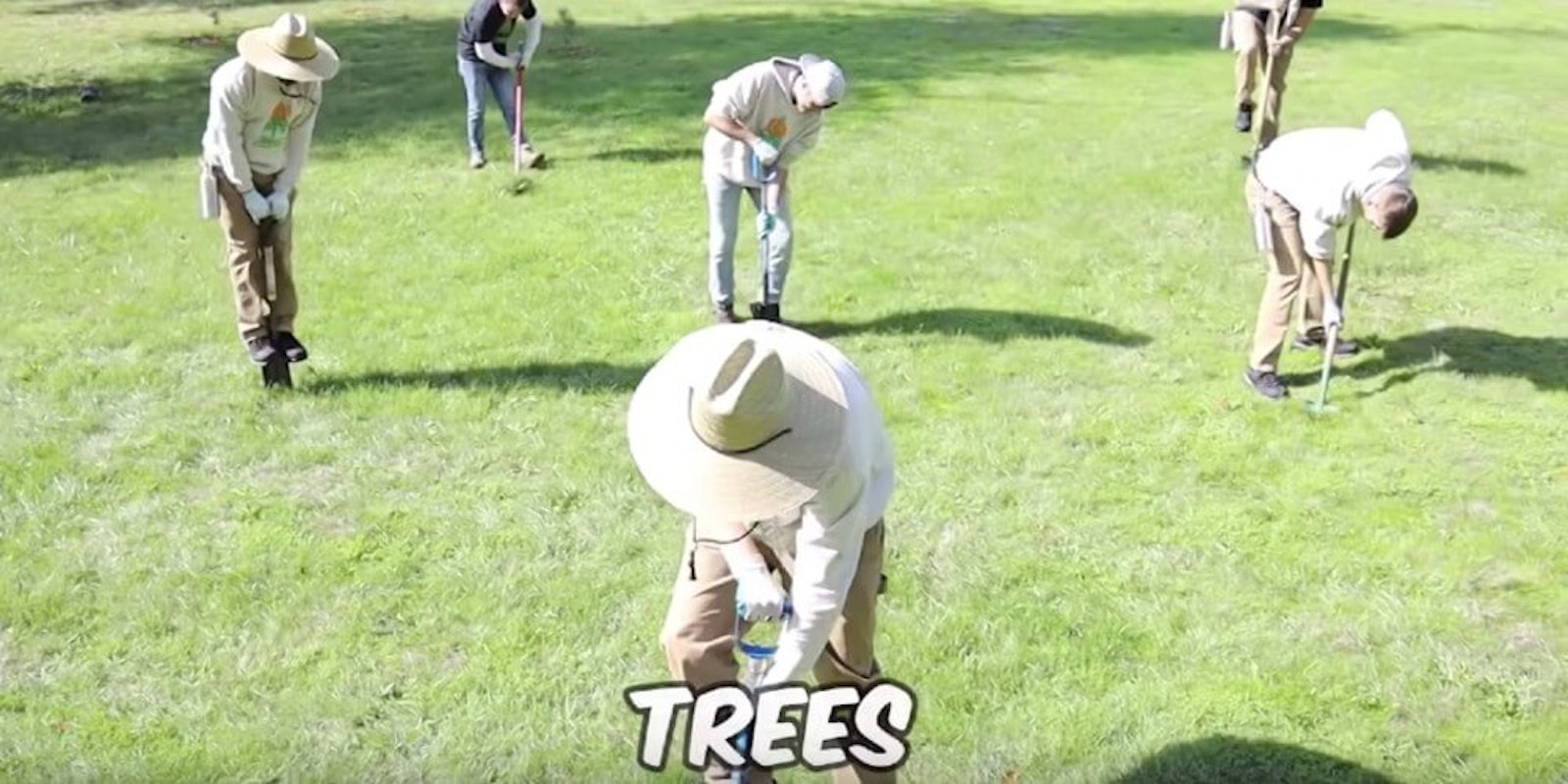 youtubers-20-million-trees