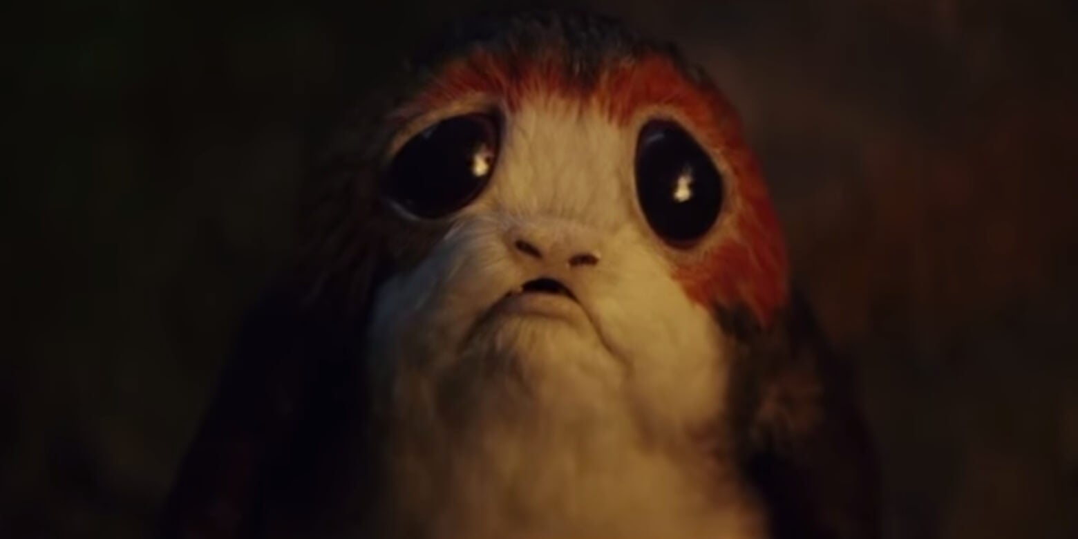 Star Wars creatures - Porg