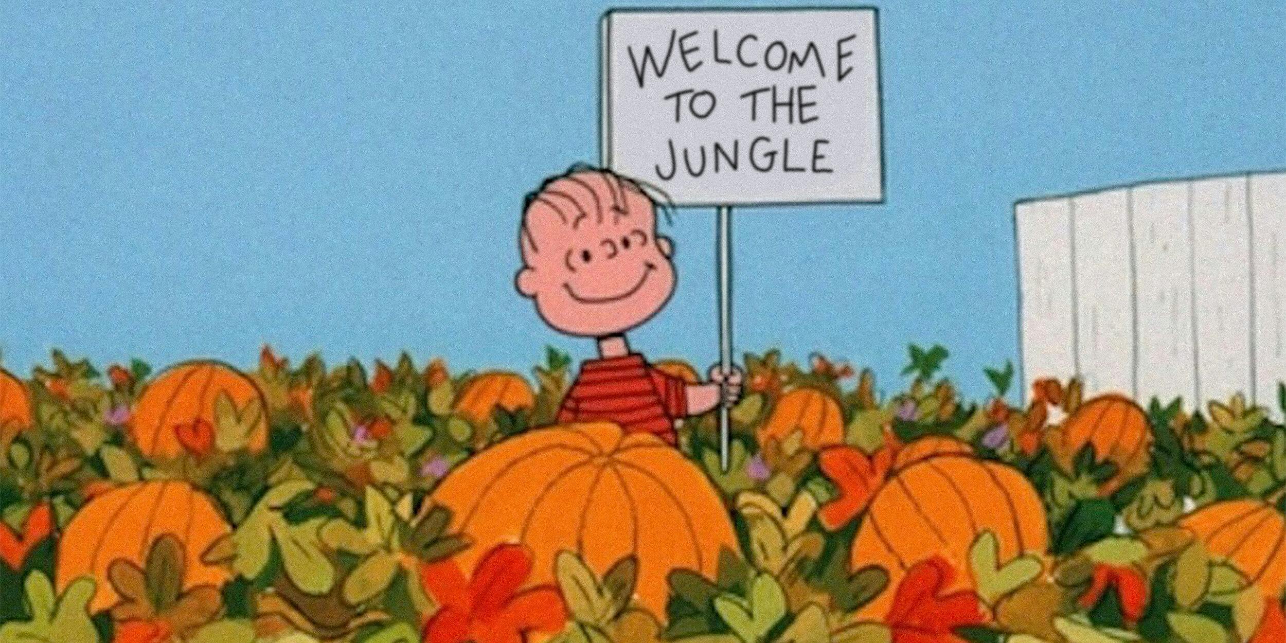 linus in the pumpkin patch holding sign that says "welcome to the jungle"