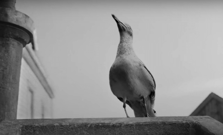 robert eggers the lighthouse