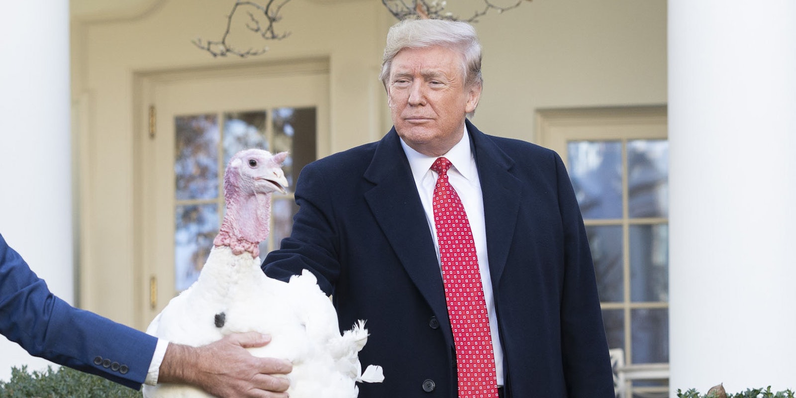 Donald Trump Thanksgiving