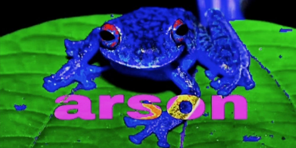 photo Frog Meme Funny Pfp For Tiktok what is the arson frog tiktok meme and