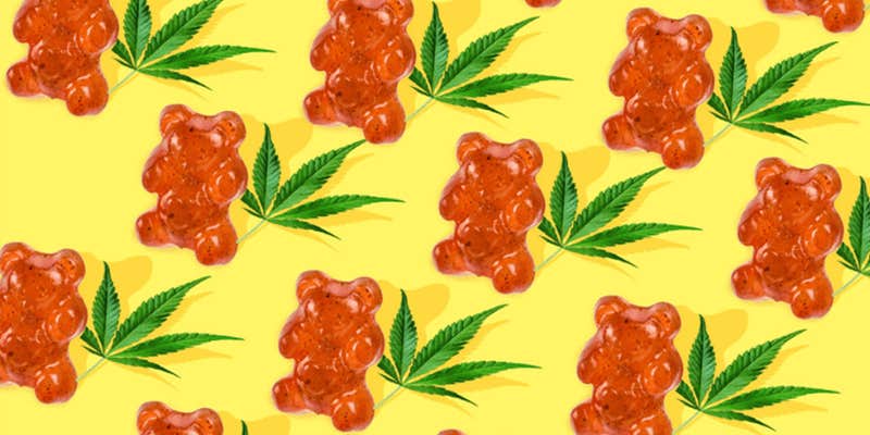 best cbd edibles