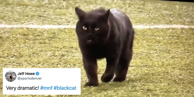 black cat monday night football