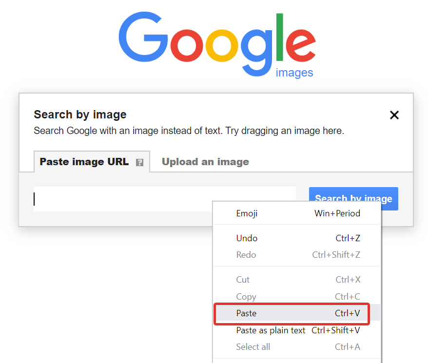 google reverse face search