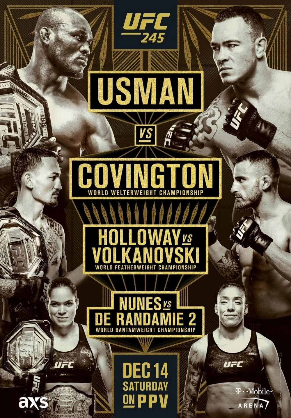 UFC 245 poster stream
