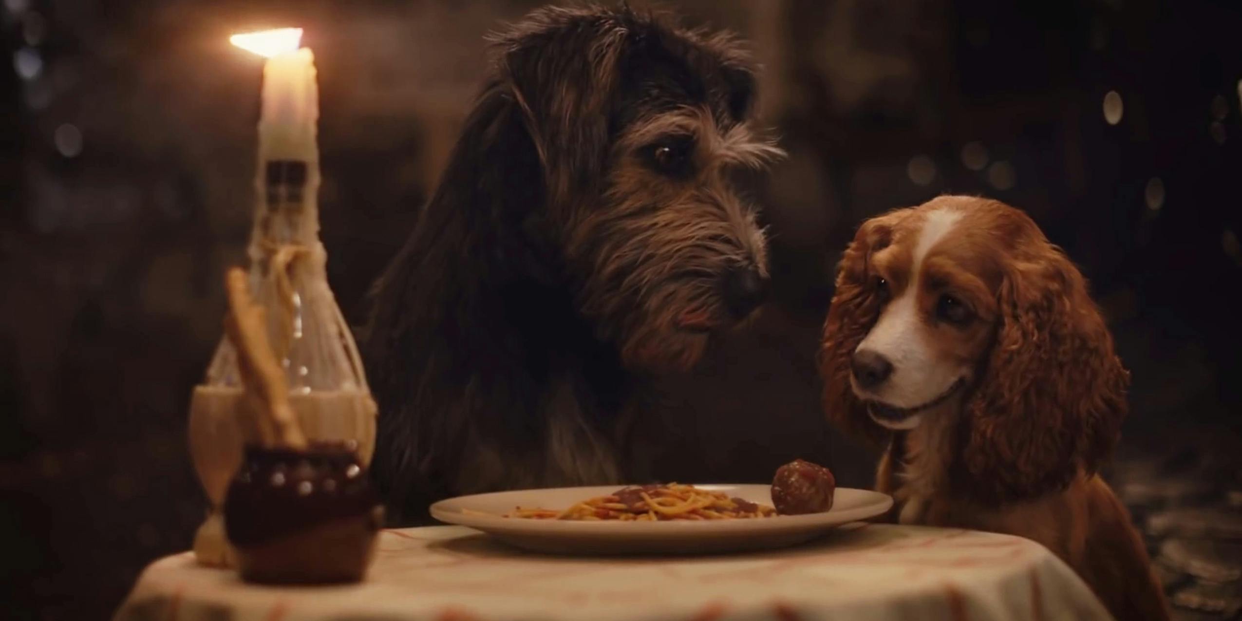 Watch Lady And The Tramp 2019 Live Action Remake On Disney