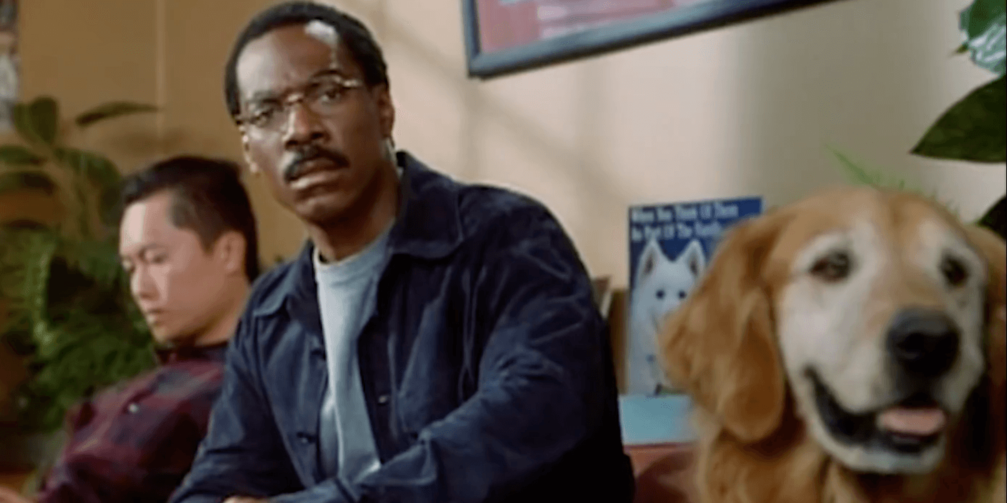 eddie murphy movies dr doolittle