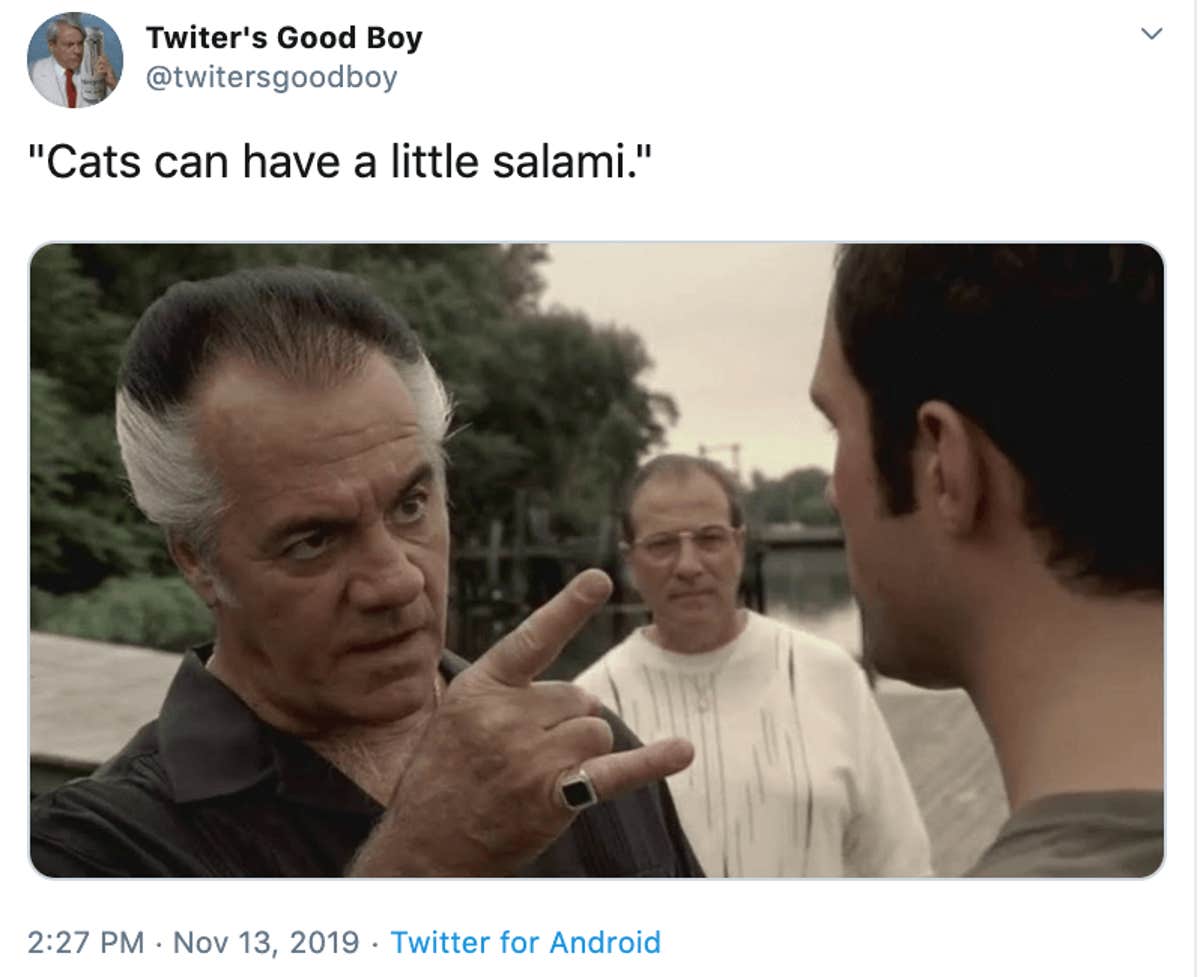 'As A Treat' Meme Emerges From Cats Eating Salami