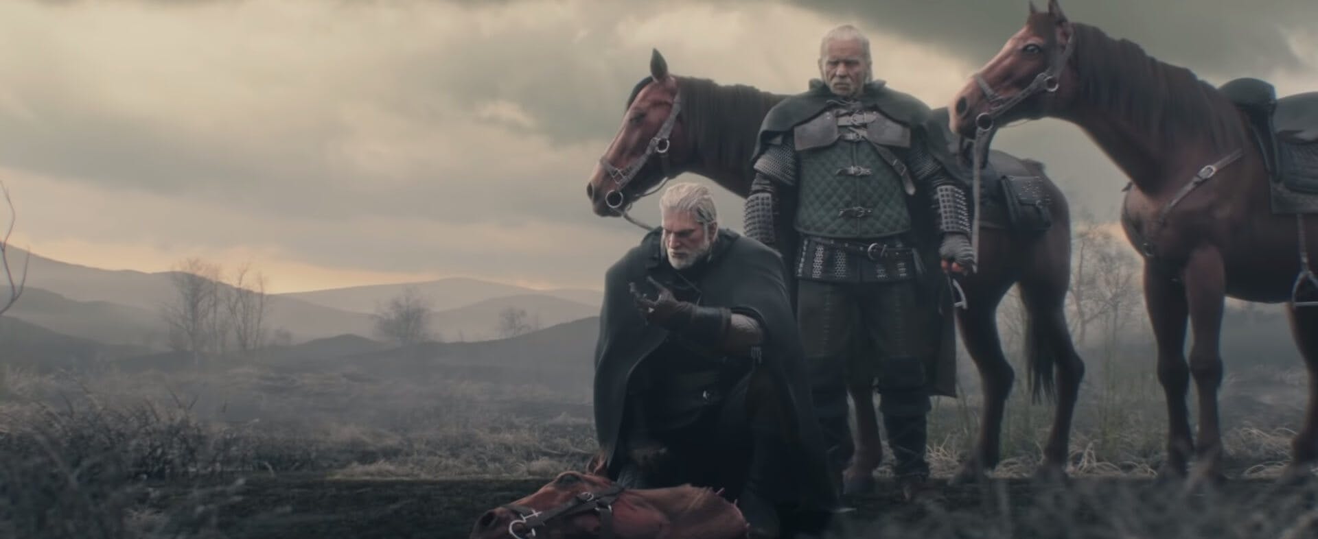 The Witcher - video games