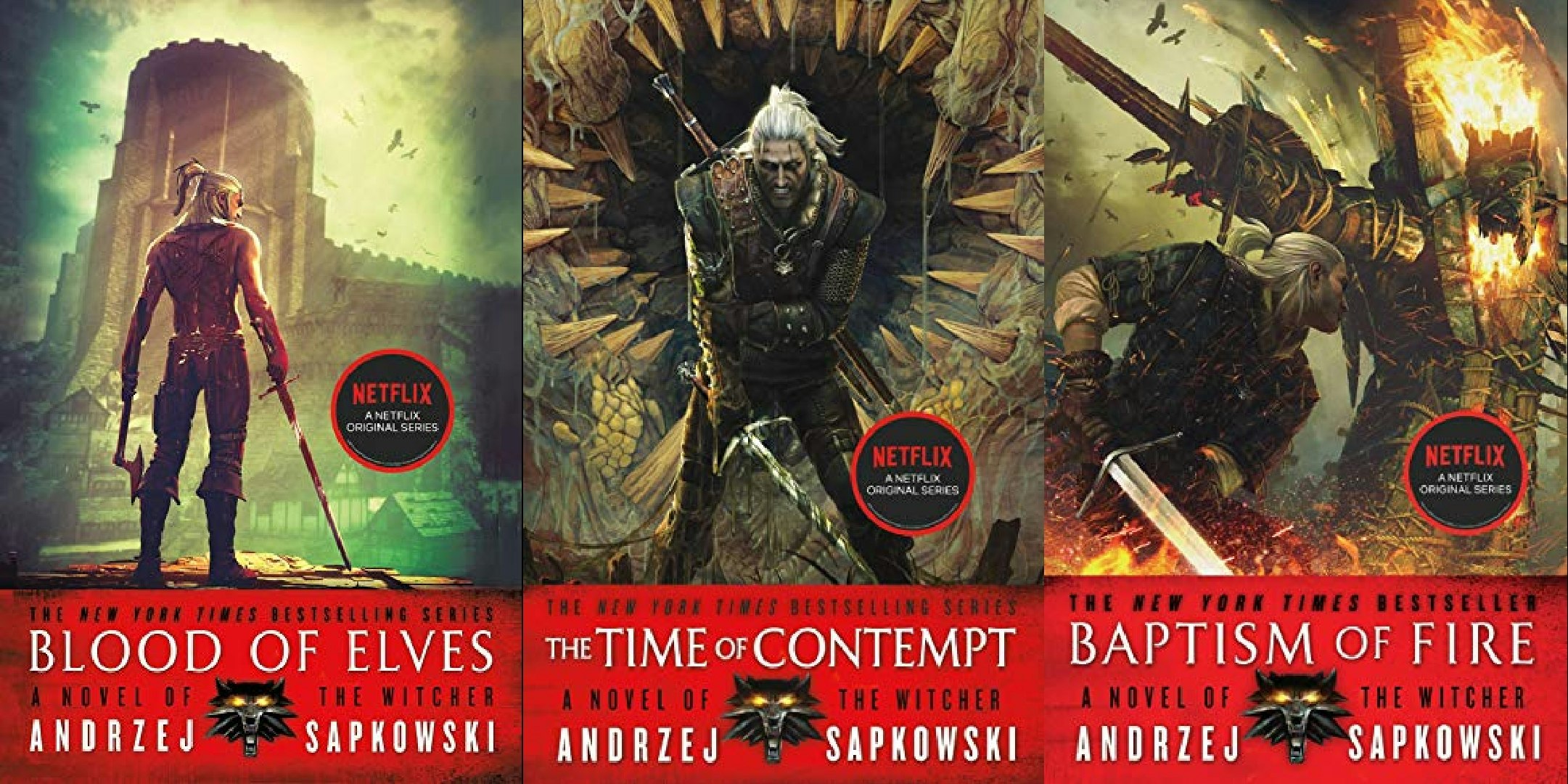 the witcher books netflix