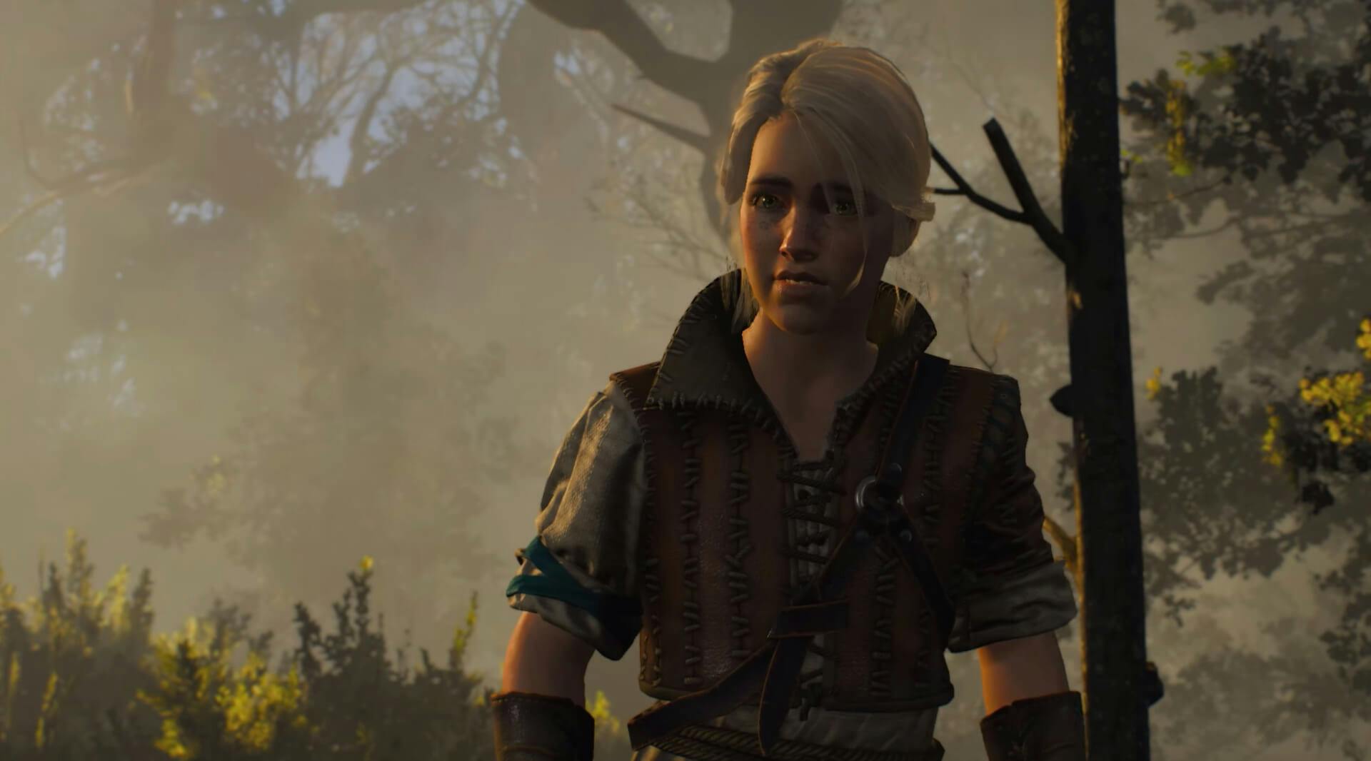 Young Ciri - The Witcher 3