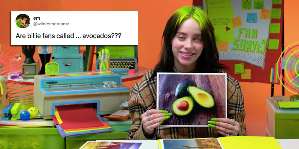 Billie Eilish Fans Riot After Being Referred to as 'Avocados'