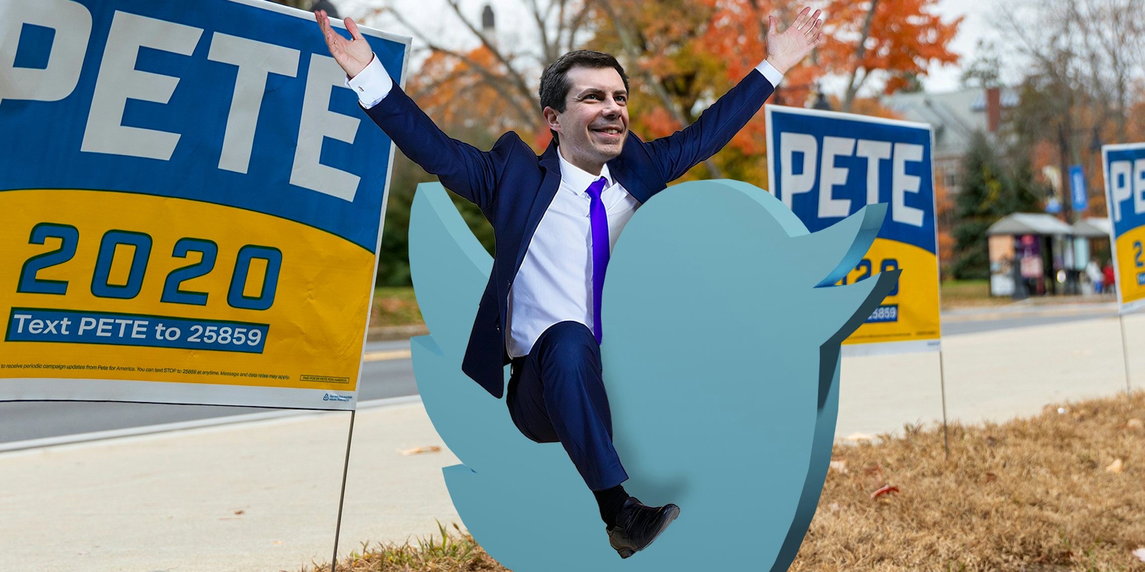 Pete Buttigieg riding a Twitter bird pete buttigieg twitter astroturfing