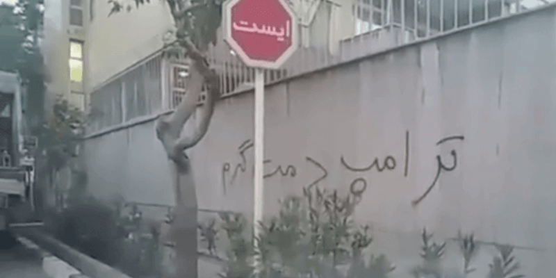 Iran-Graffiti-Trump