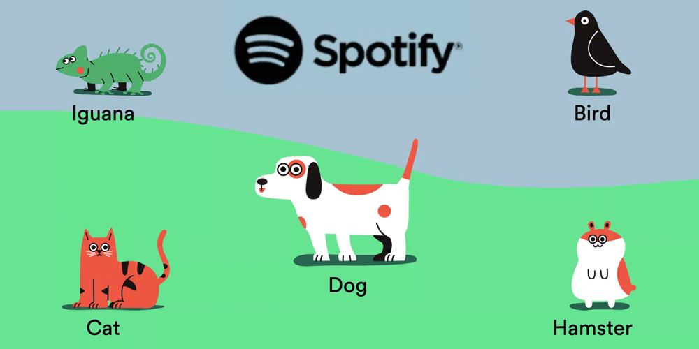 Spotify Wants to Make a Playlist for Your Furry Friend