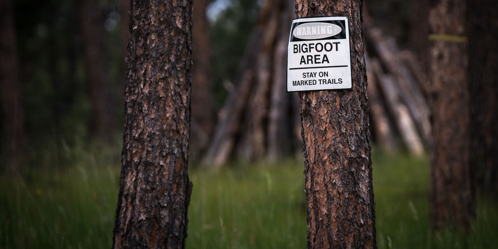Bigfoot sign