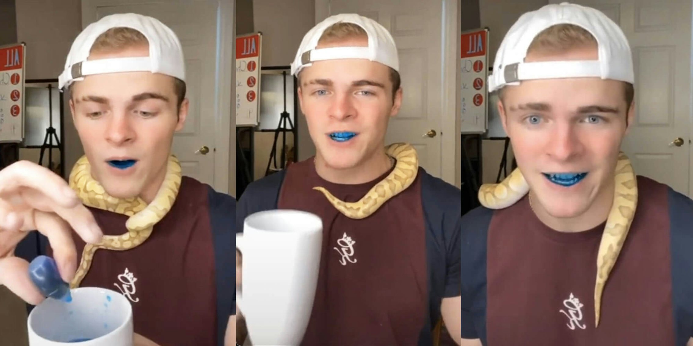 colty drinking blue food coloring