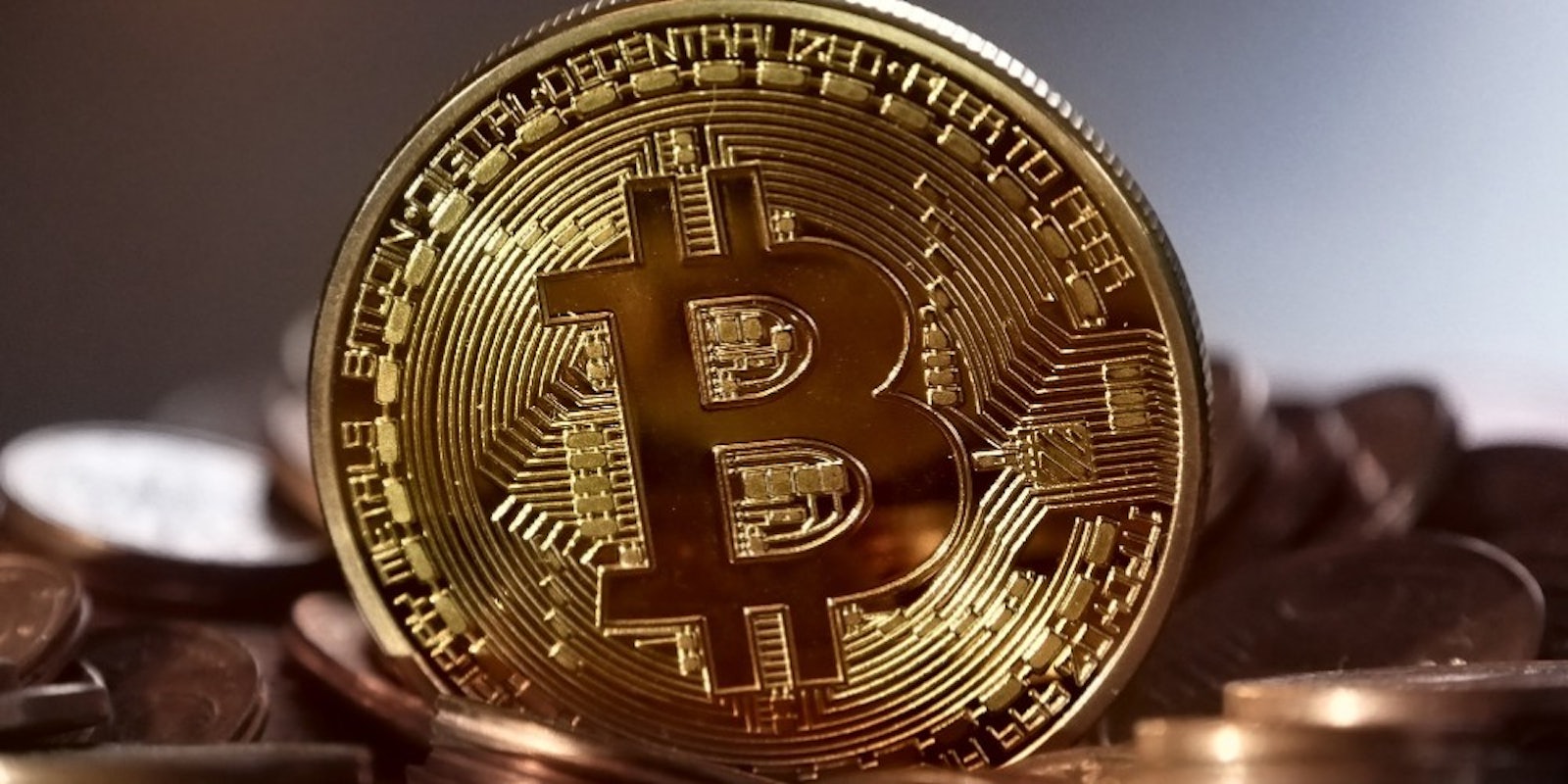 drug dealer loses money bitcoin