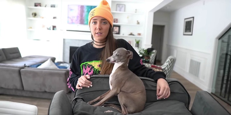 jenna marbles apologizes for dog harness video