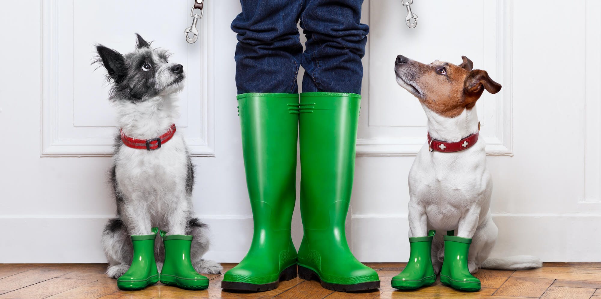 The 5 Best Rain Boots