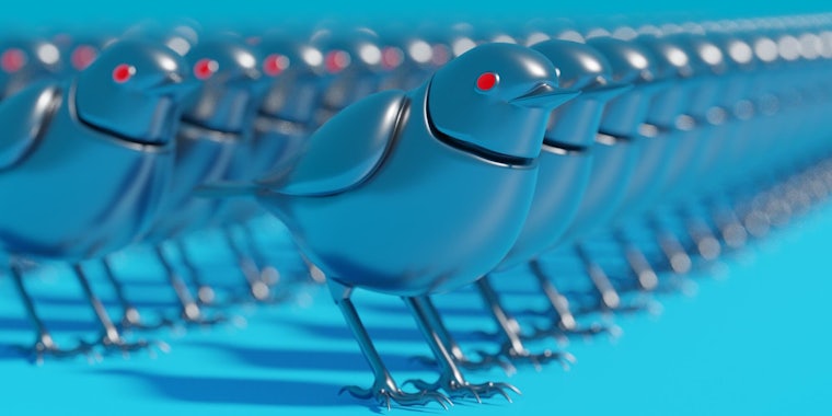 twitter bot birds