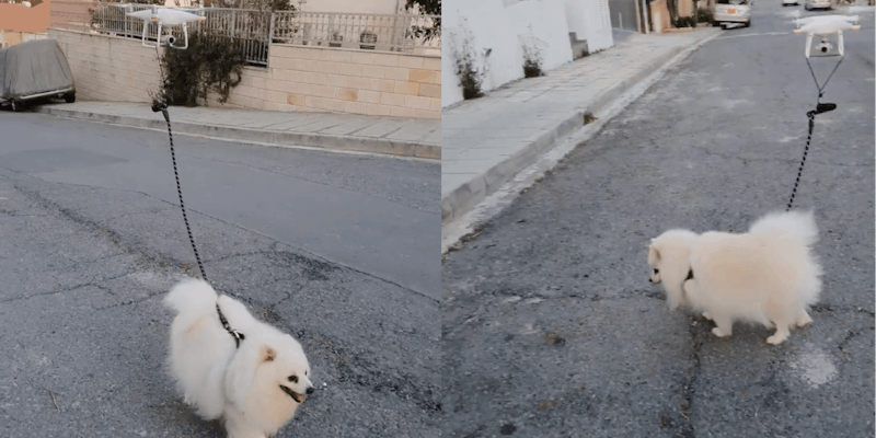 Screenshots show the dog running with a drone attached