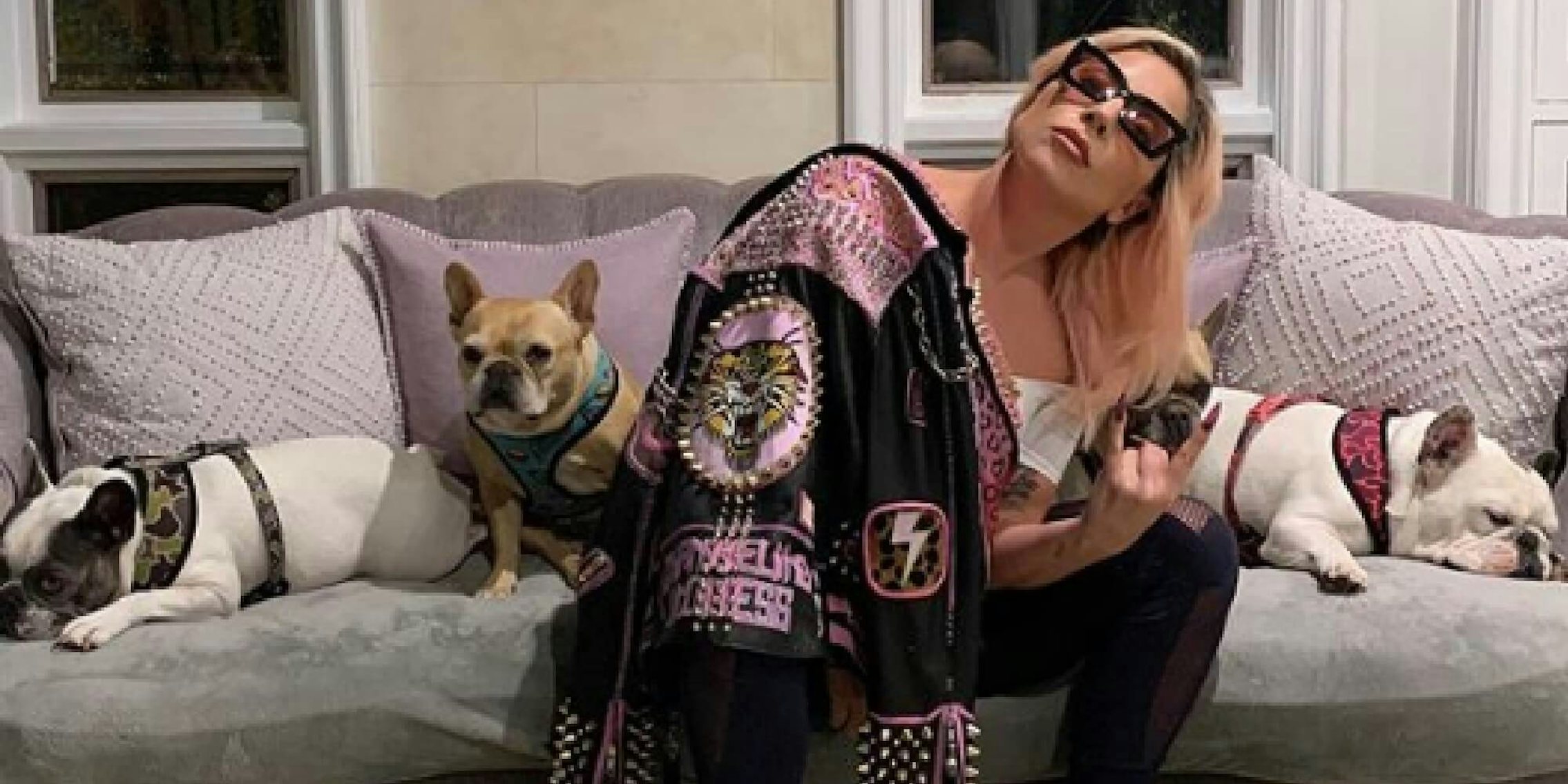 Lady Gaga poses with dogs in self isolation for coronavirus