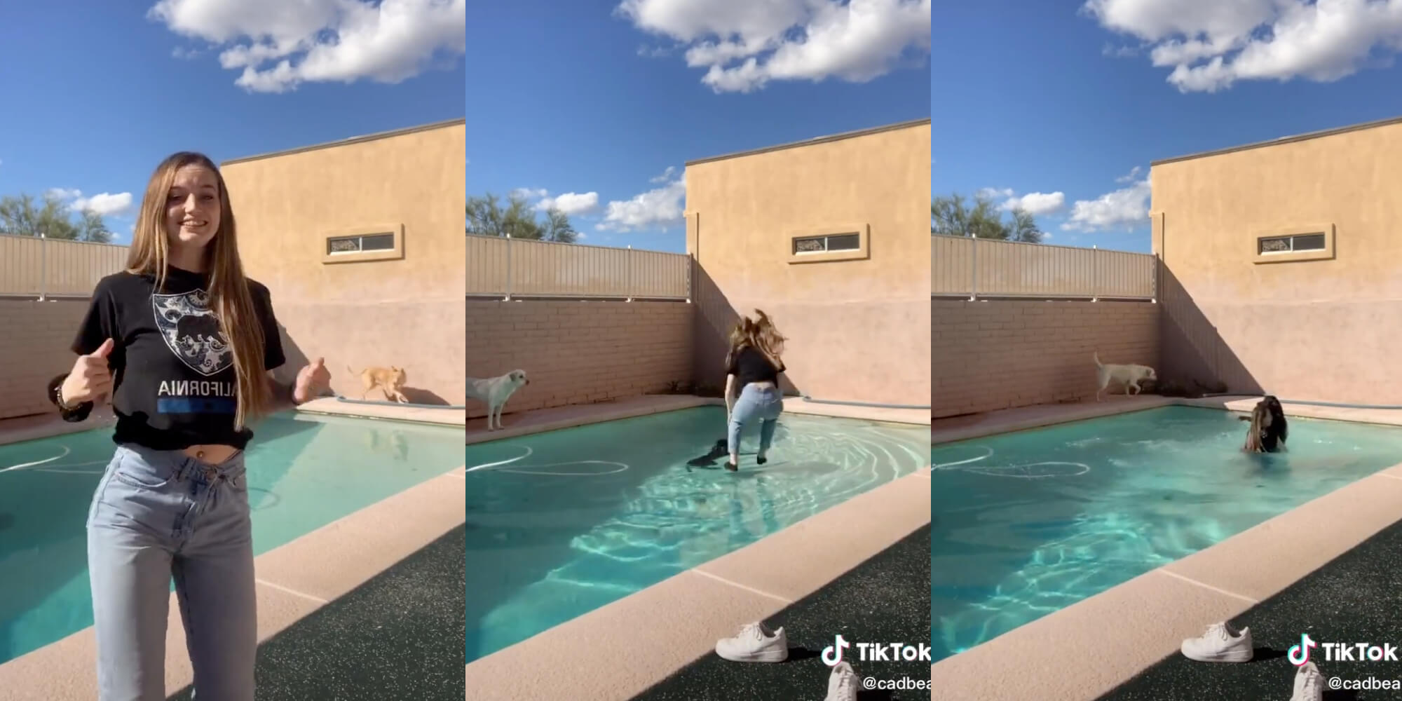 This TikTok Teen Went Viral For Saving Her Dog From Drowning