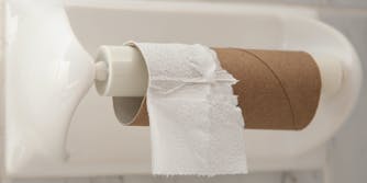 toilet paper crisis