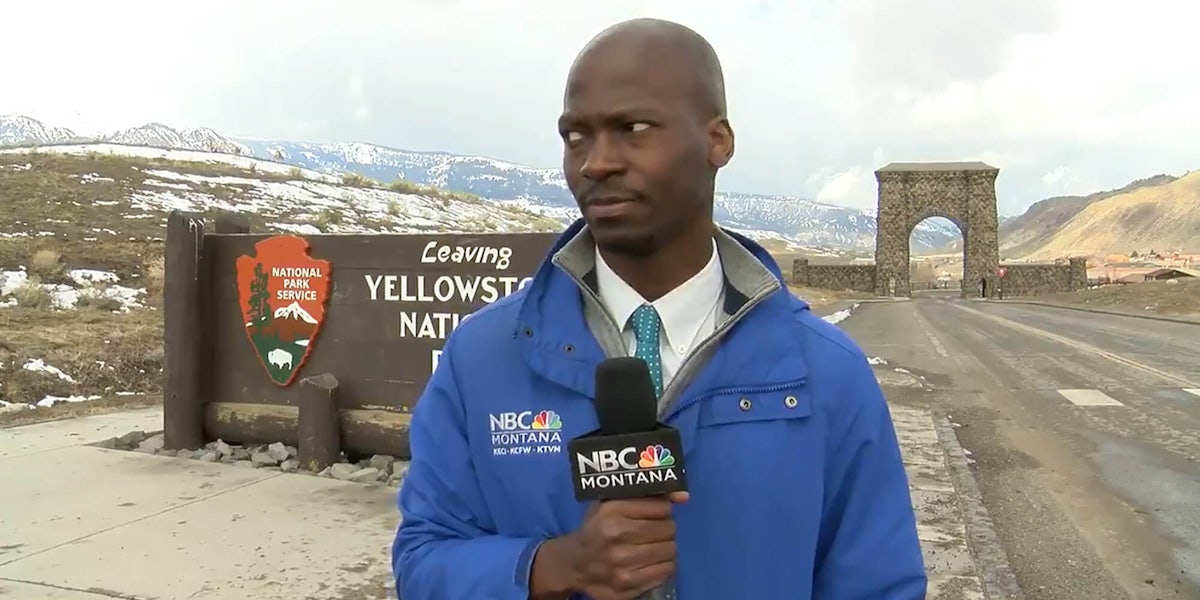 reporter eyeing a herd of bison at yellowstone national park