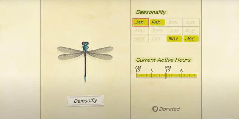 animal crossing new horizons details donation