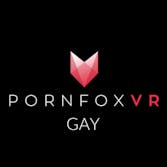 PornFox VR Gay