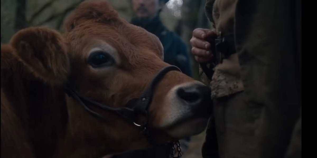 first cow movie on demand
