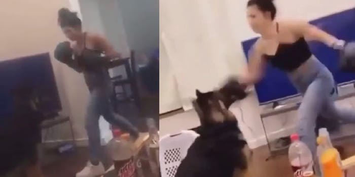 London Miner is seen punching her dog in two screenshots